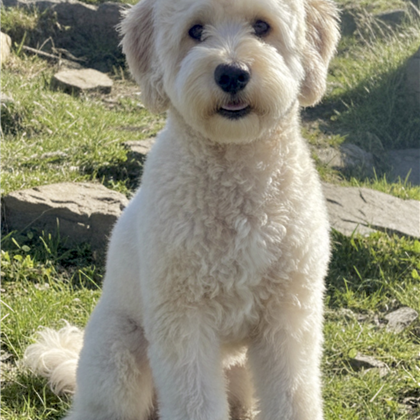 Meet Our Beautiful Ladies